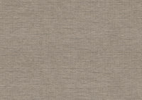 Arte Essentials L'Invité Le Papier Tissé 60503