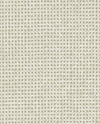 Arte Essentials L'Invité Le Rotin 60511