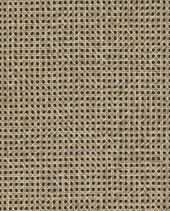 Arte L'Invité Le Rotin 60512