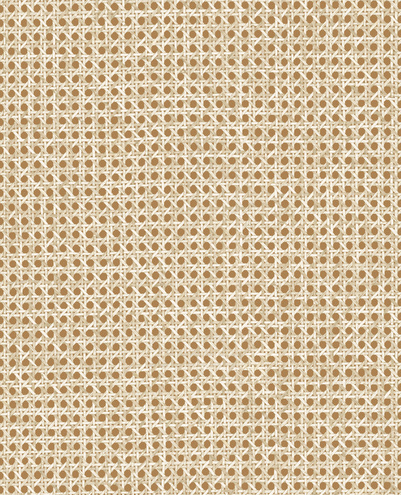 Arte L'Invité Le Rotin 60514