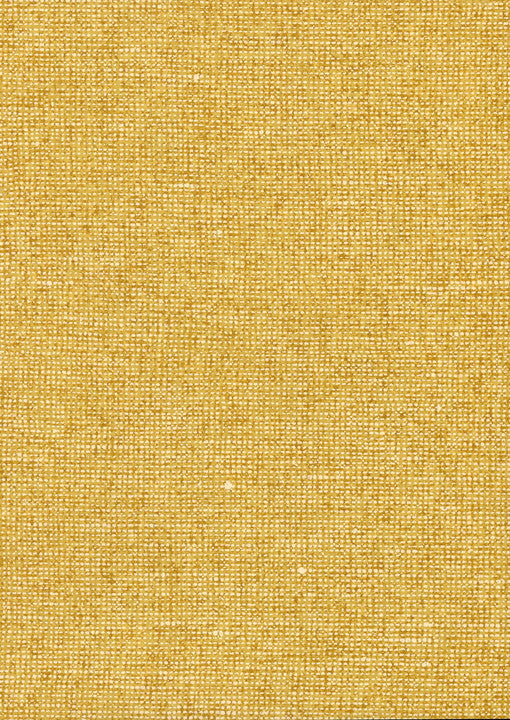 Arte Essentials Palette Chanderi 91505B