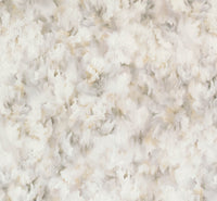 Arte Moooi Green House Silk Bombis MO5012