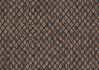 Arte Moooi Wallcovering Extinct Animals Aristo Quagga MO2031