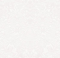 Arte Moooi Wallcoverings Memento Moooi Mimic Moth MO4001