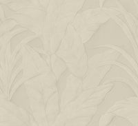 Arte Selva Musa 75002A