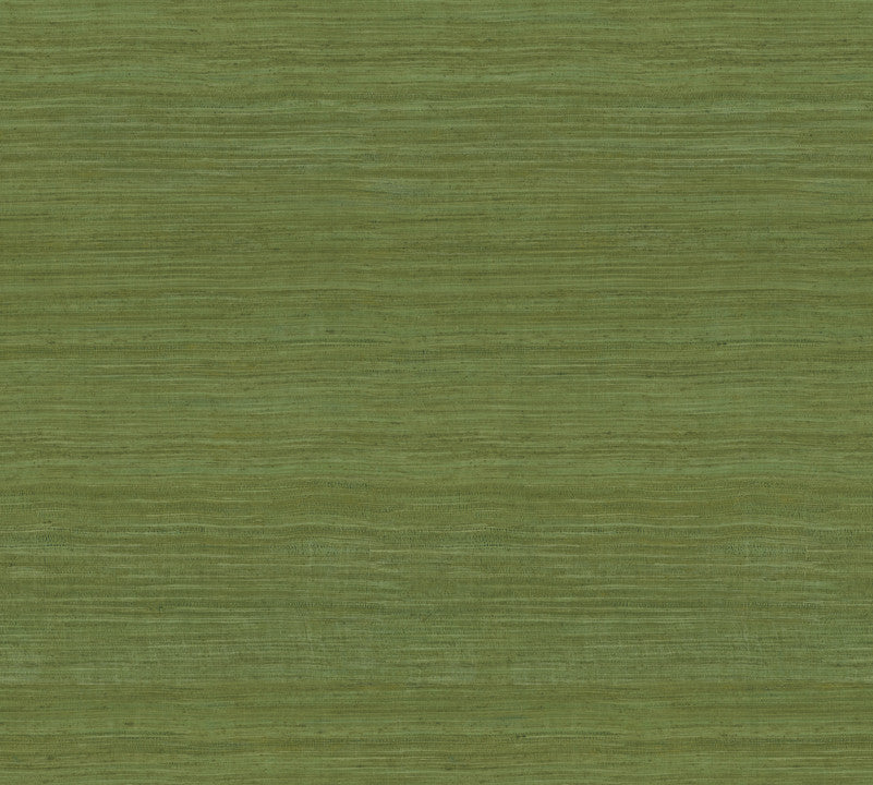 Arte Textura Tasar 72020A