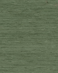 Arte Wild Silk Pure Silk 86533