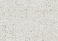 Arte Wildwalk Evora 28030