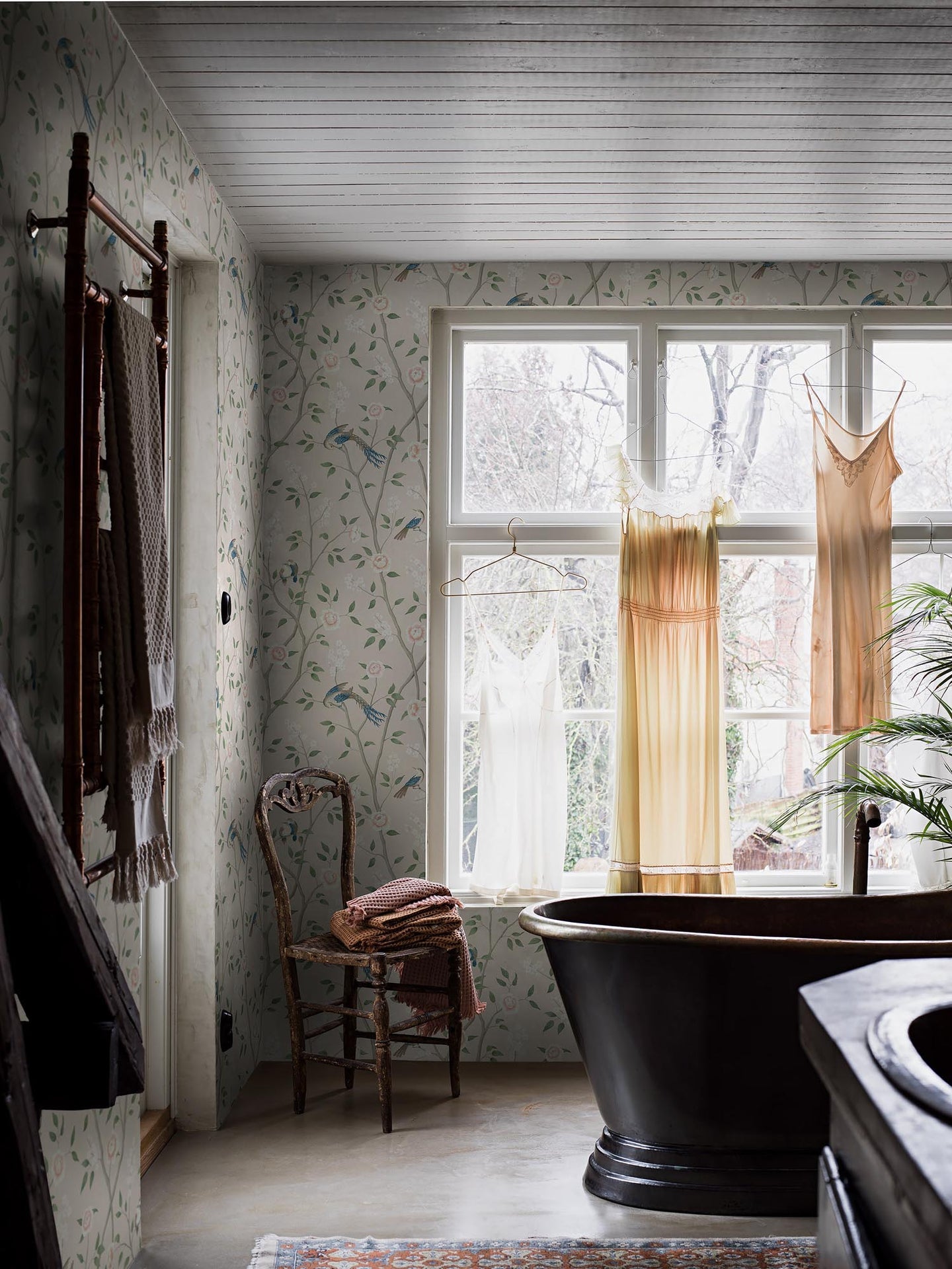 Boråstapeter Dreamy Escape Paradise Birds 4270 Behang