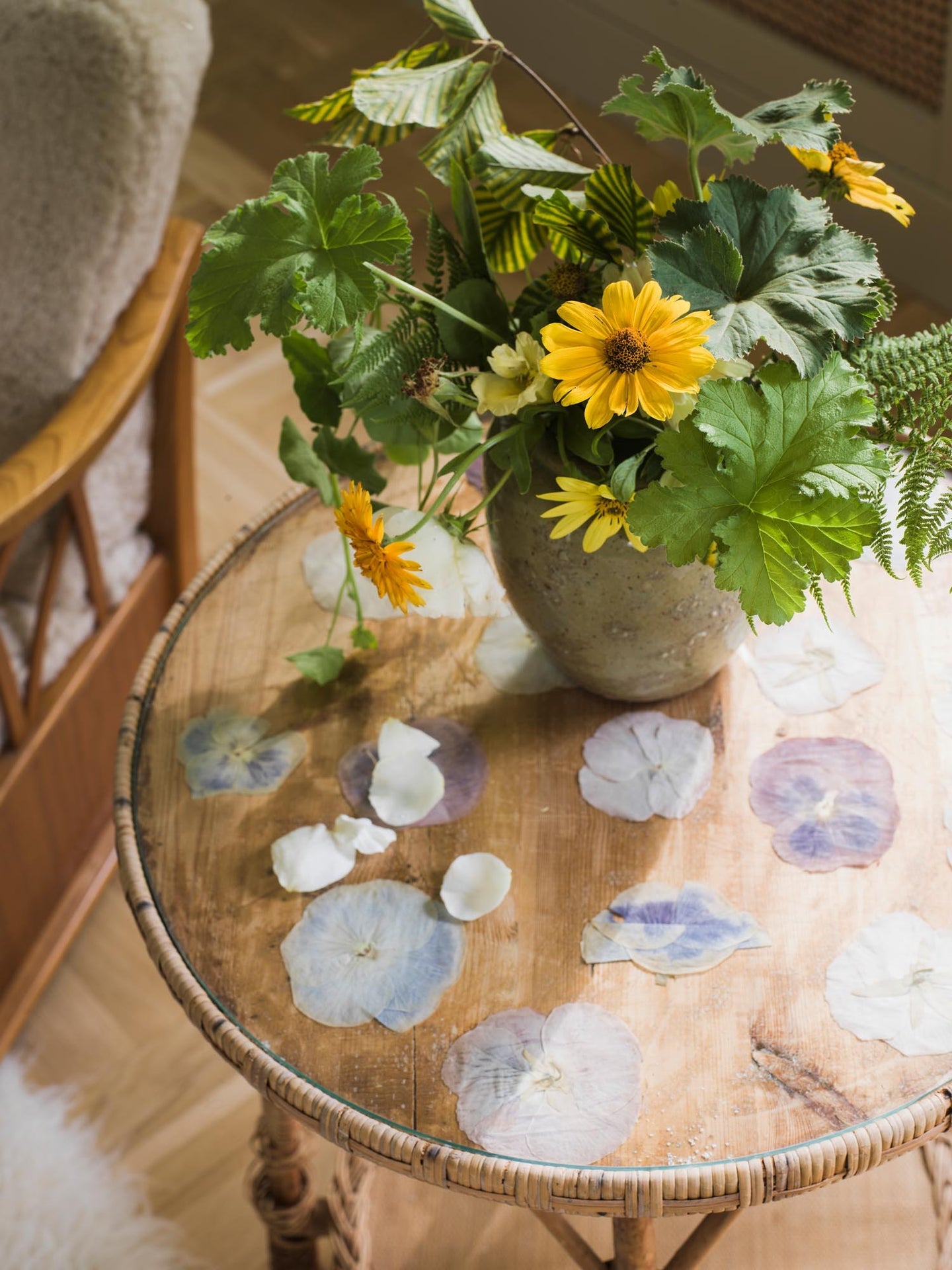 Boråstapeter Orangeri Olivträd 5704 Behang