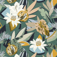 Casamance Aventura Salvador - 75531528