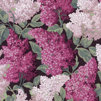 Cole & Son Botanical Lilac Grandiflora 115/15045