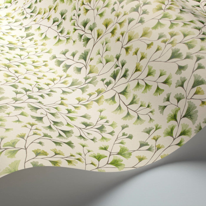 Cole & Son Botanical Maidenhair 115/6018