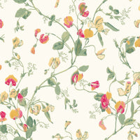 Cole & Son Botanical Sweet Pea 100/6027