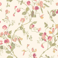 Cole & Son Botanical Sweet Pea 100/6028