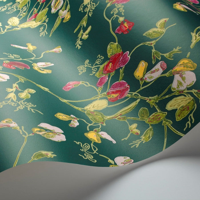 Cole & Son Botanical Sweet Pea 115/11033