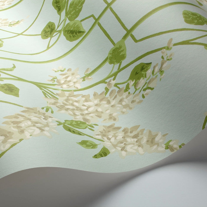 Cole & Son Botanical Wisteria 115/5014