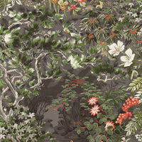 Cole & Son Botanical Woodland 115/4011