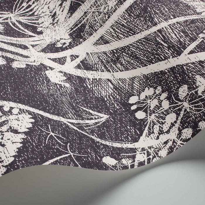 Cole & Son Contemporary Collection Cow Parsley 66/7046 Behang