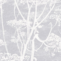 Cole & Son Contemporary Collection Cow Parsley 95/9049