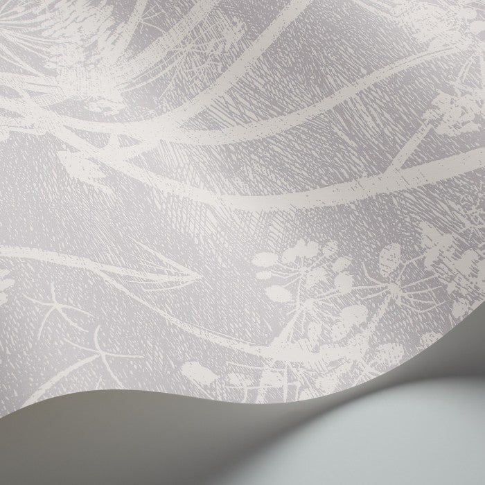 Cole & Son Contemporary Collection Cow Parsley 95/9049 Behang