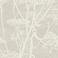 Cole & Son Contemporary Collection Cow Parsley 95/9051