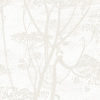 Cole & Son Contemporary Collection Cow Parsley 95/9052