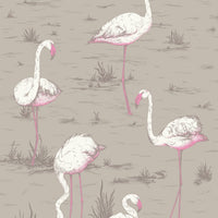 Cole & Son Contemporary Collection Flamingos 66/6042