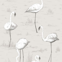 Cole & Son Contemporary Collection Flamingos 95/8046