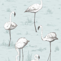 Cole & Son Contemporary Collection Flamingos 95/8047