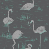 Cole & Son Contemporary Collection Flamingos 95/8048