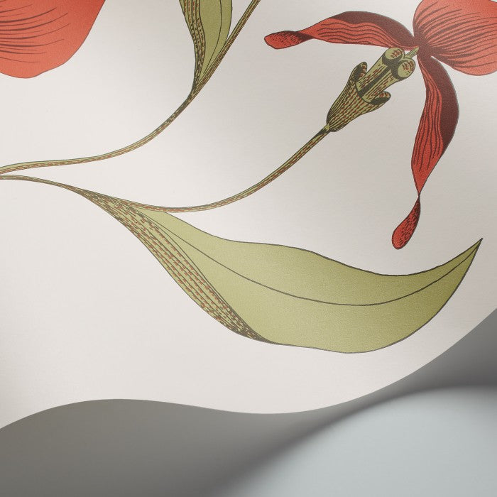 Cole & Son Contemporary Collection Orchid 95/10054 Behang