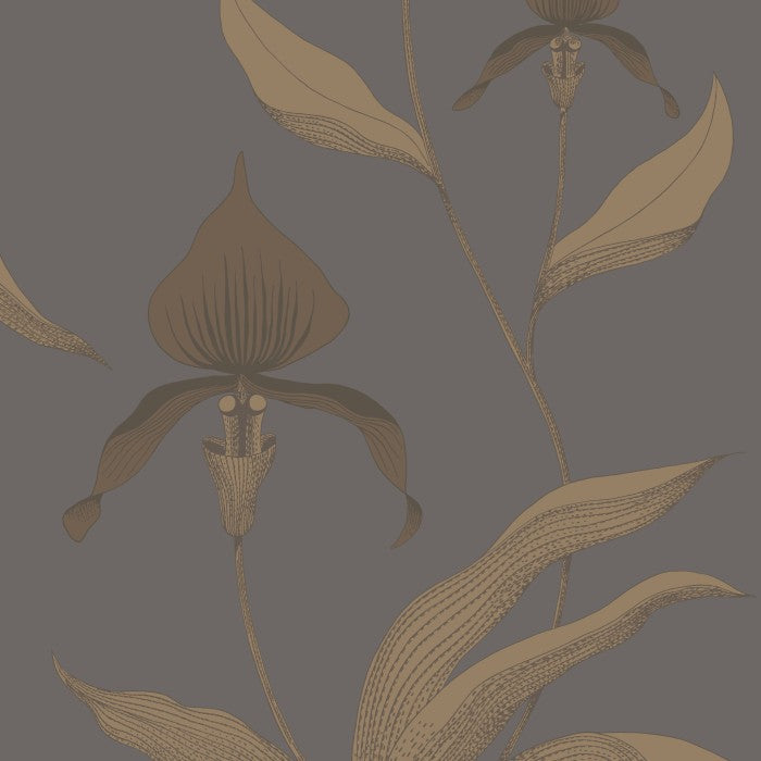Cole & Son Contemporary Collection Orchid 95/10056 Behang