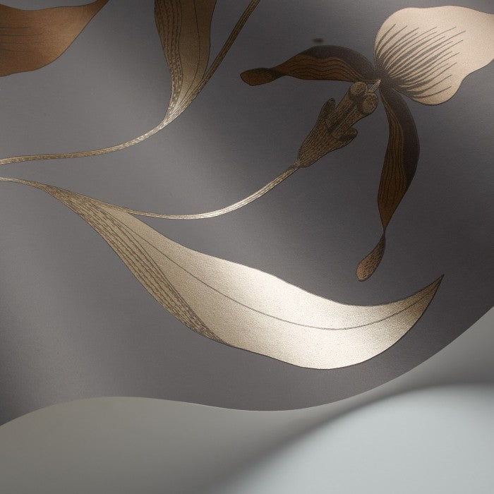 Cole & Son Contemporary Collection Orchid 95/10056 Behang