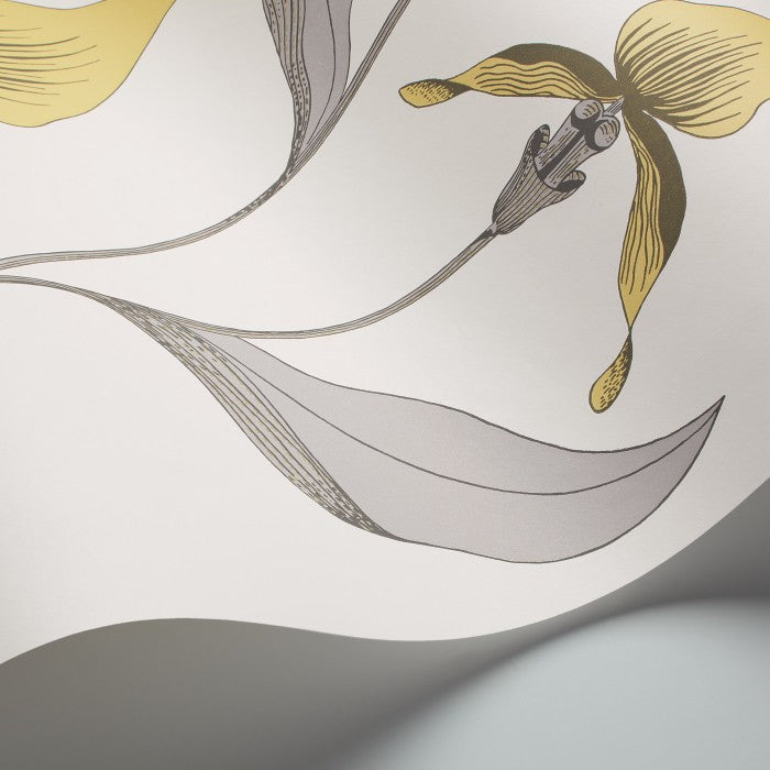 Cole & Son Contemporary Collection Orchid 95/10057 Behang