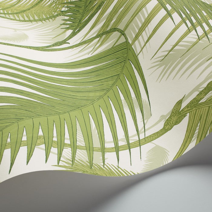 Cole & Son Contemporary Collection Palm Jungle 95/1001 Behang