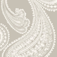 Cole & Son Contemporary Collection Rajapur 95/2011