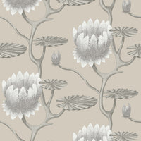 Cole & Son Contemporary Collection Summer Lily 95/4025