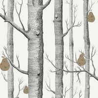 Cole & Son Contemporary Collection Woods & Pears 95/5027