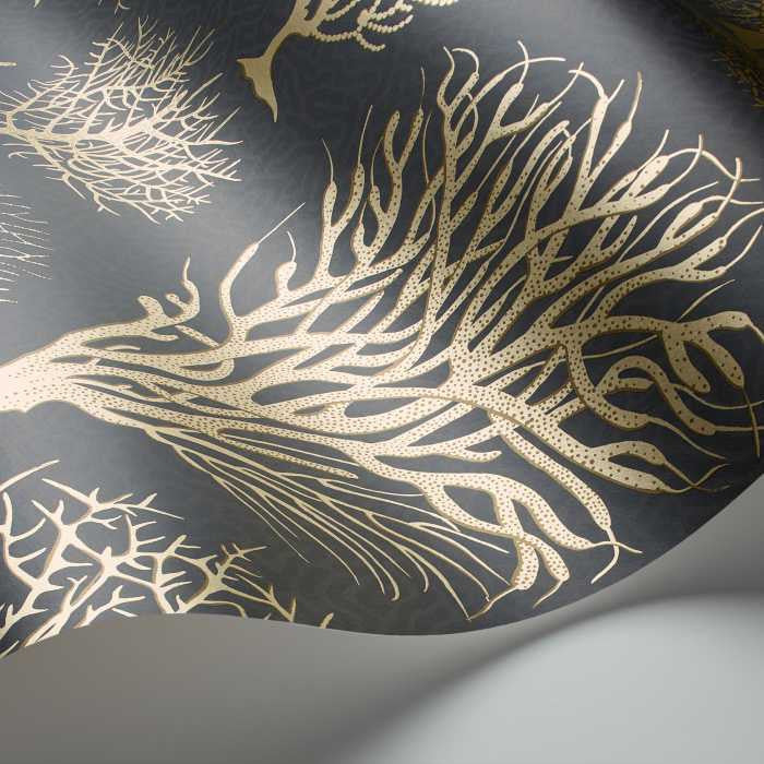 Cole & Son Curio Seafern 107/2006
