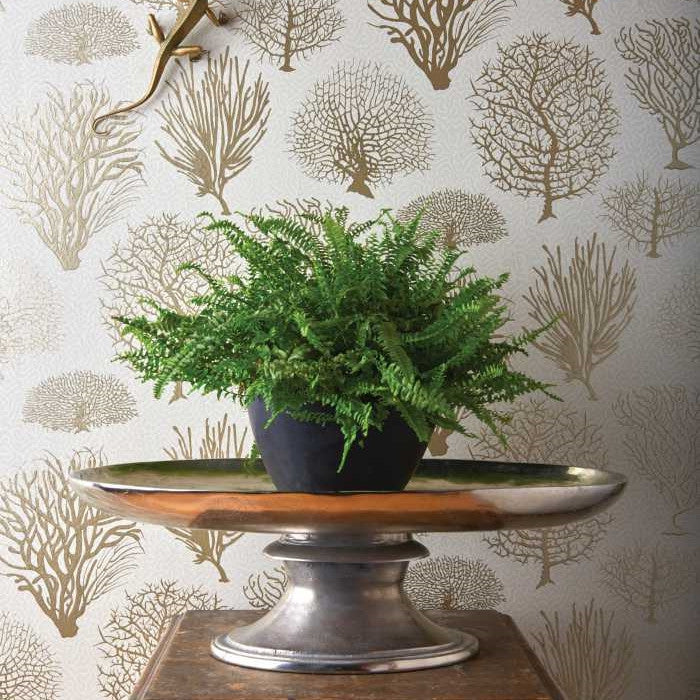 Cole & Son Curio Seafern 107/2007