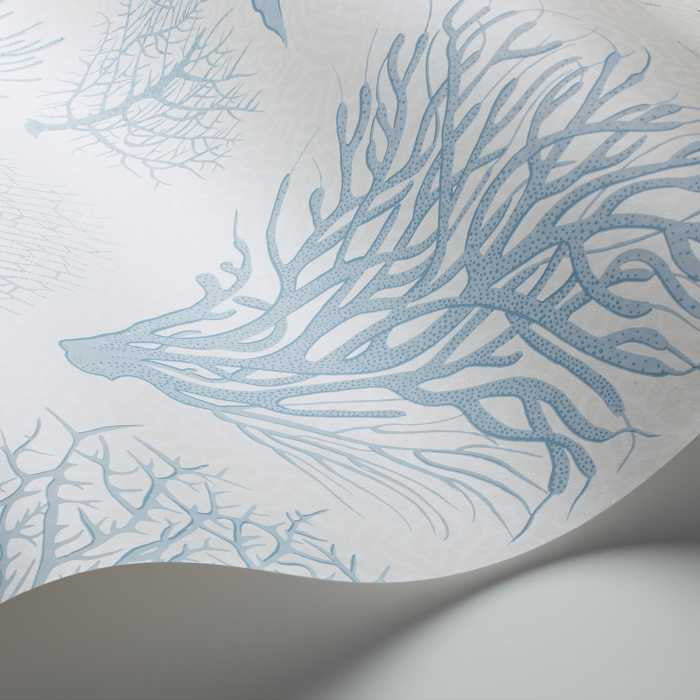 Cole & Son Curio Seafern 107/2009