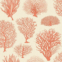 Cole & Son Curio Seafern 107/2011