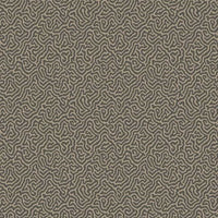 Cole & Son Curio Vermicelli 107/4017