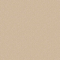 Cole & Son Curio Vermicelli 107/4019