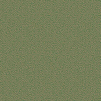 Cole & Son Curio Vermicelli 107/4022