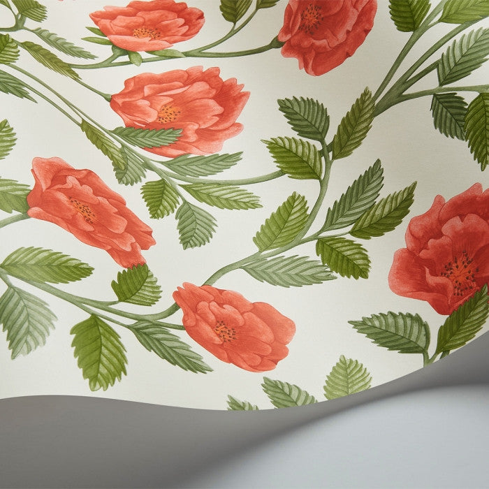 Cole & Son Great Masters Hampton Roses 118/7013