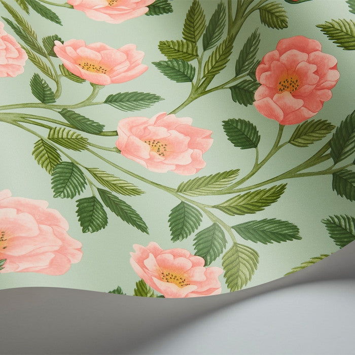 Cole & Son Great Masters Hampton Roses 118/7014