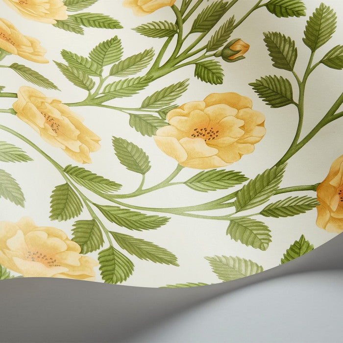 Cole & Son Great Masters Hampton Roses 118/7015