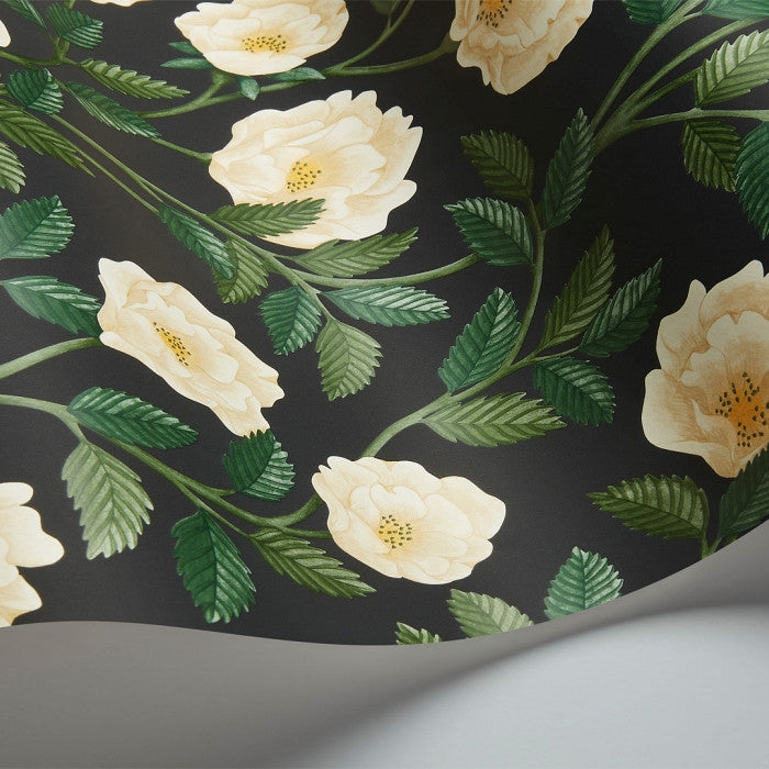 Cole & Son Great Masters Hampton Roses 118/7016